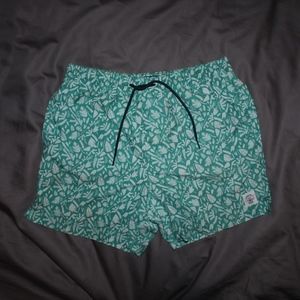 Springfield Swim Trunks